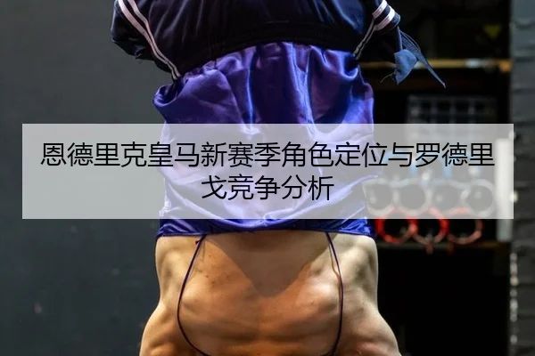 en-de-li-ke-huang-ma-xin-sai-ji-jue-se-ding-wei-yu-luo-de-li-ge-jing-zheng-fen-xi-2-163.jpg