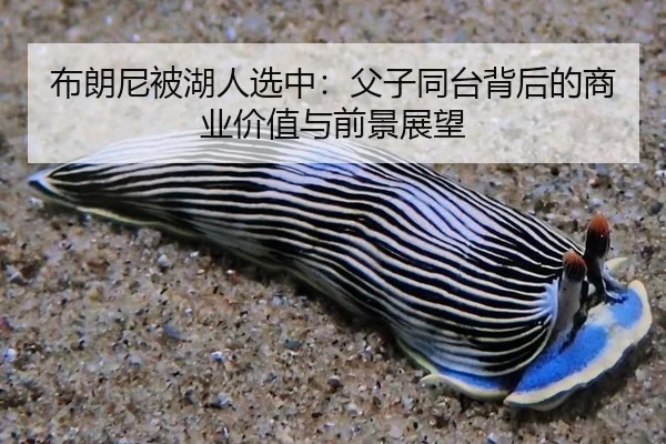 bu-lang-ni-bei-hu-ren-xuan-zhong-fu-zi-tong-tai-bei-hou-de-shang-ye-jia-zhi-yu-qian-jing-zhan-wang-2-603.jpg