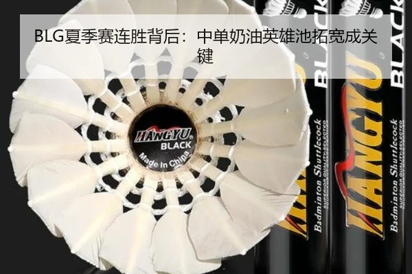 BLG夏季赛连胜背后：中单奶油英雄池拓宽成关键